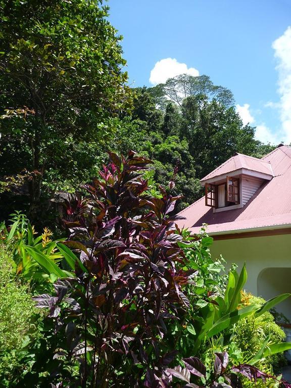 Bed and Breakfast Liane De Mai La Digue Exteriér fotografie
